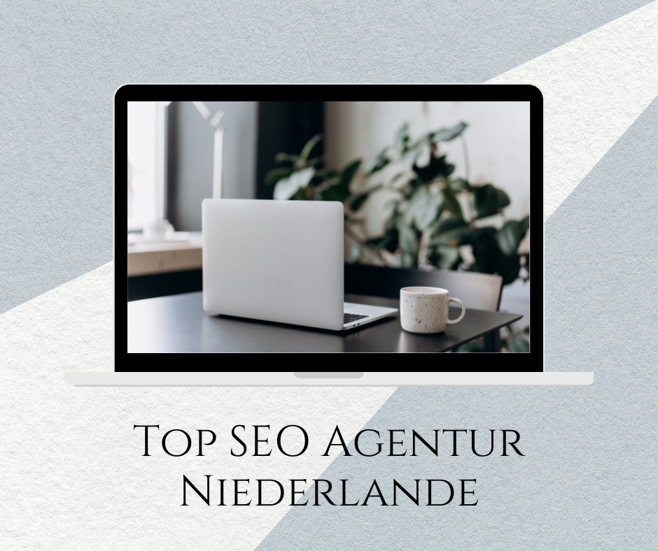 Top SEO Agentur Niederlande