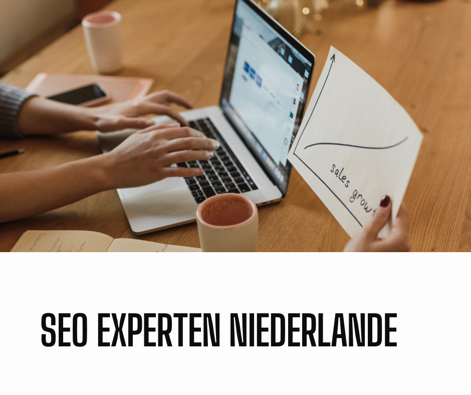 SEO Experten Niederlande